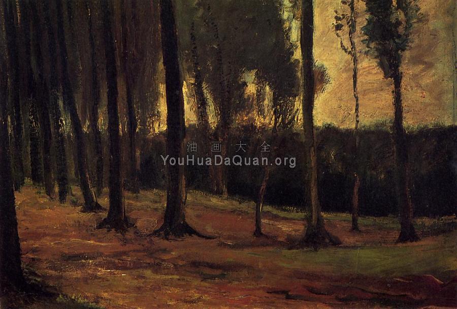 树林边 - 文森特·威廉·梵高